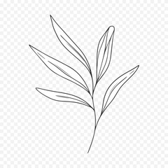 Hand drawn spring flowers illustration. floral illustration