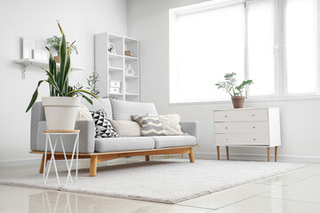 Interior of light living room with grey sofa, commode and shelf unit