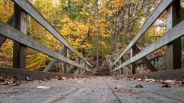 Fall Colors Bridge