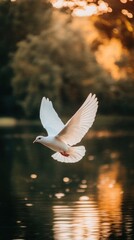 A white dove gracefully flying over a serene lake at sunset, reflecting warm colors.