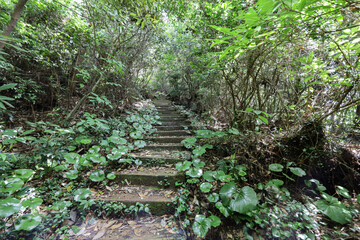 제주도 서귀포시 보목동 제지기오름