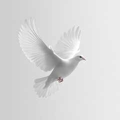 Fototapeta premium Graceful White Dove in Flight