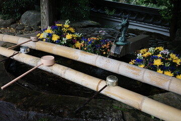 Chozuya Water Basin (Temizuya) at Japanese Shrine Temple – Traditional Purification Ritual