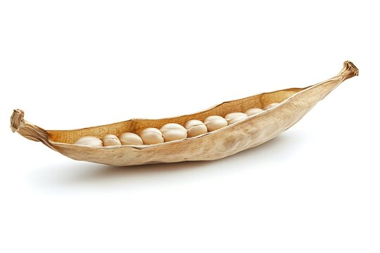 Guar Seed isolated on a white background, close up