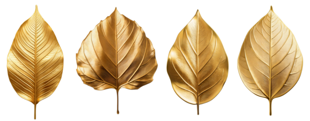 Four elegant golden leaves arranged in a row on a white isolated background.