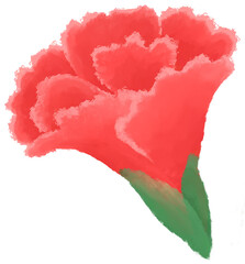 Red carnation oil painting