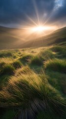 A serene landscape at sunrise with lush grass illuminated by soft rays of light.