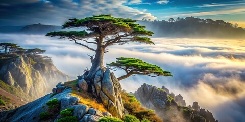 Sunlight filters through misty boughs, cypress silhouettes aligned, rule of thirds creates balance.