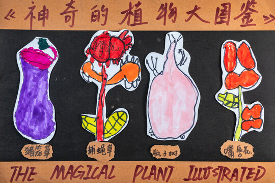 Children's hand-drawn creative illustrations magical plants big picture book