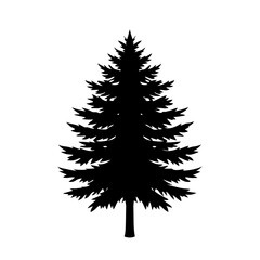 Pine tree silhouette forest | vector silhouette illustration on white background