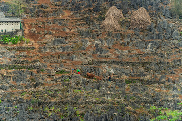 Spring landscape in Ha Giang - Northern mountainous province of Vietnam