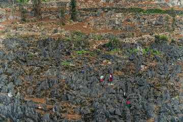 Spring landscape in Ha Giang - Northern mountainous province of Vietnam