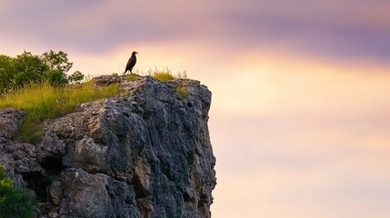 Majestic Bird of Prey Perched on Rocky Cliff Against a Beautiful Sunset Sky Highlighting Nature's Splendor in a Serene Landscape Scene