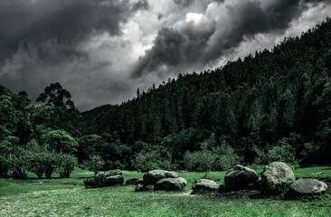 Bosque lluvioso en el departamento de Antioquia, Colombia