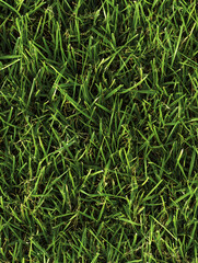 Obraz premium 11芝生のテクスチャ/Lawn textures Gererated AI 