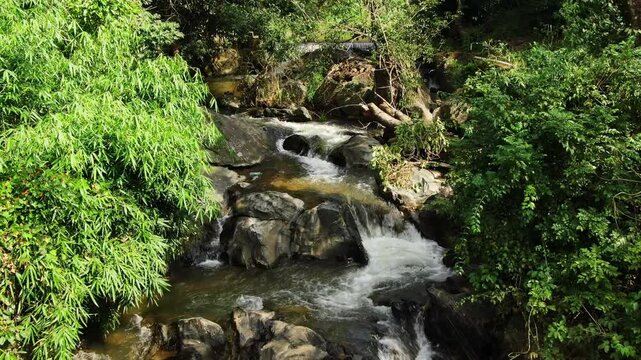 Nature river waterfall forest water stream