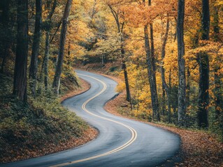 Naklejka premium Curved road winding through a dense forest. 