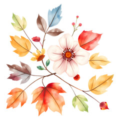 Autumn Flower and Leaves Watercolor. png isolated background. transparent background.