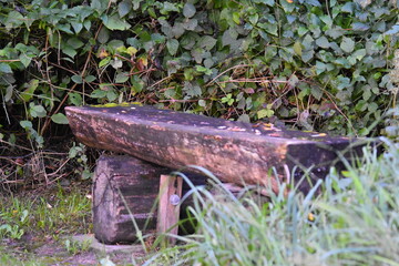 Rastbank mitten im Wald