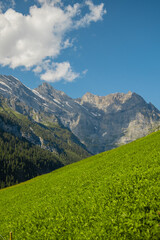 Obraz premium V&C_Switzerland&ItalyAUG-SEPT2024