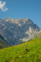 Obraz premium V&C_Switzerland&ItalyAUG-SEPT2024