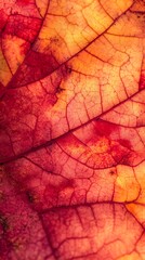 Obraz premium Artistic Representation of a Colorful Autumn Leaf 