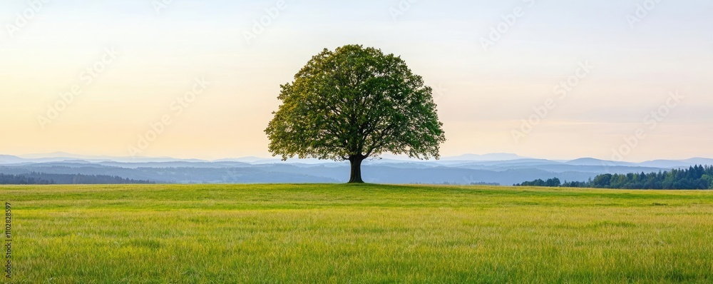 Poster lone tree on a green field under a serene sky at dusk.