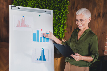 Photo of nice lovely lady bookkeeper assistant dressed shirt presenting graphics indoors workplace...