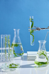 Blue background photography in lab scene, an experiment with green seaweed component being...