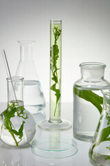 Seaweed advertising photo was shot from high angle, a blank podium in center for product displaying. Blank space for product showing, copy space for text © Tuan  Nguyen 