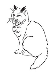 Minimalist black-and-white cat illustration designed for coloring books. A delightful choice for feline fans, kids, and artistic activities.