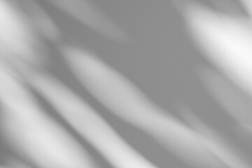 Wall interior background, studio and backdrops show products.with shadow from window color white and grey. background for text insertion and presentation product