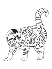 Minimalist black-and-white cat illustration designed for coloring books. A delightful choice for feline fans, kids, and artistic activities.