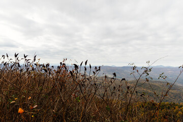 Beautiful autumn landscape with rocks, mountains and forest with yellow and red leaves on trees. Road among mountains in North Carolina, USA.