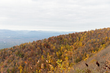 Beautiful autumn landscape with rocks, mountains and forest with yellow and red leaves on trees. Road among mountains in North Carolina, USA.