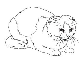 Minimalist black-and-white cat illustration designed for coloring books. A delightful choice for feline fans, kids, and artistic activities.