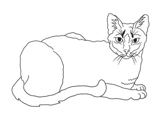 Minimalist black-and-white cat illustration designed for coloring books. A delightful choice for feline fans, kids, and artistic activities.