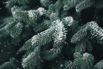 Christmas Tree Leaves Partially Covered with Snow , Generative AI