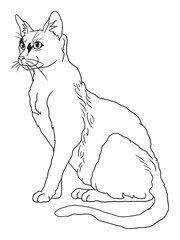 Minimalist black-and-white cat illustration designed for coloring books. A delightful choice for feline fans, kids, and artistic activities.