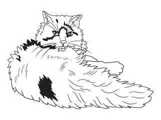 Minimalist black-and-white cat illustration designed for coloring books. A delightful choice for feline fans, kids, and artistic activities.