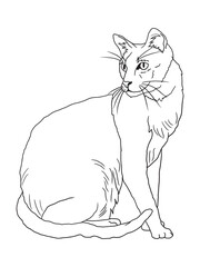 Minimalist black-and-white cat illustration designed for coloring books. A delightful choice for feline fans, kids, and artistic activities.