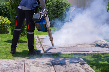 Man worker fogging insecticide to eliminate mosquito for preventing spread dengue fever and zika virus.