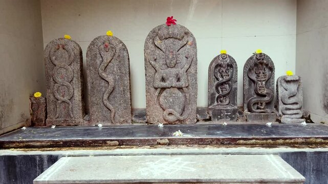 Mysuru, Karnataka, India-September 15 2024; A Divine view of sacred stone sculptures of Snake God and Goddess at a Jain temple in India.

