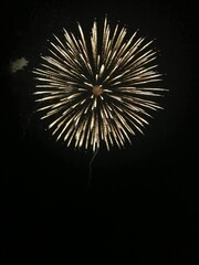 fireworks in the sky