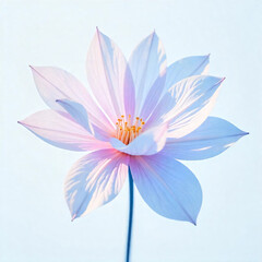 Fototapeta premium White, art, freshness, illustration, isolated, vintage, abstract, close-up, big, bundle, collection, copy, floral pattern, gift, happy, home, modern, new, painted, paper, peony, retro, set, shape