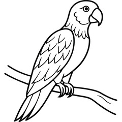 Beautiful Parrot on the Tree Branch Vector Illustration