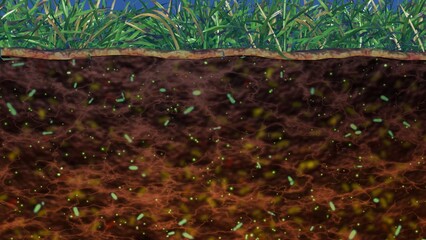 Soil microbiome. Bacteria, microbes in soil. Many micro-organisms in soil. Microscopic life underground in earth. 3d render illustration