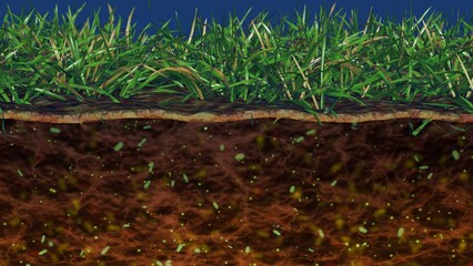 Soil microbiome. Bacteria, microbes in soil. Many micro-organisms in soil. Microscopic life underground in earth. 3d render illustration