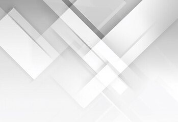 Obraz premium The white and silver are light gray with black the gradient white with templates metal texture soft lines tech gradient abstract diagonal background