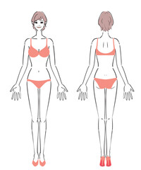 普通体型の女性のイラスト